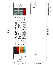 Masszeichnung Verdrahtung 89453843 RGBW LED Dimmer 16A CV DT8-01.webp